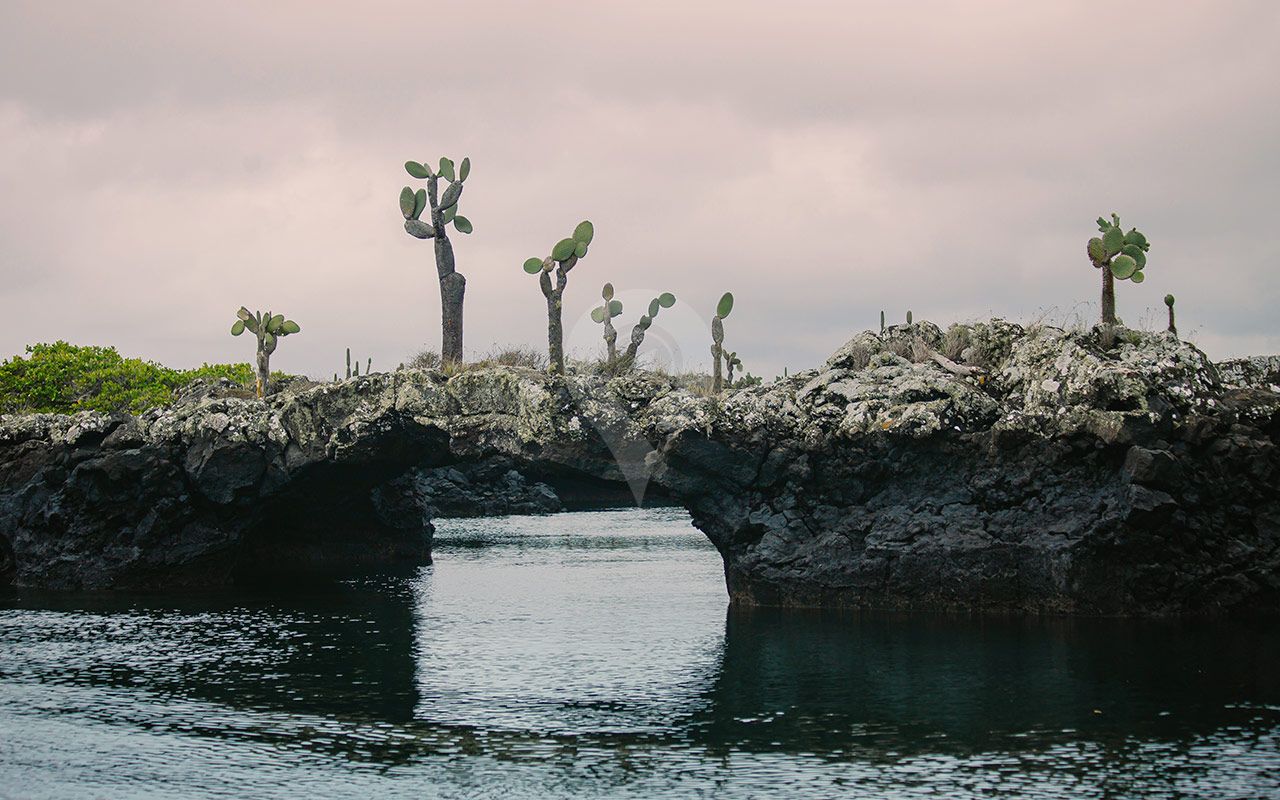 Isablea  - Cabo Rosa
