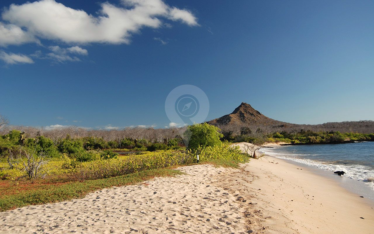 Santa Cruz - El Garrapatero