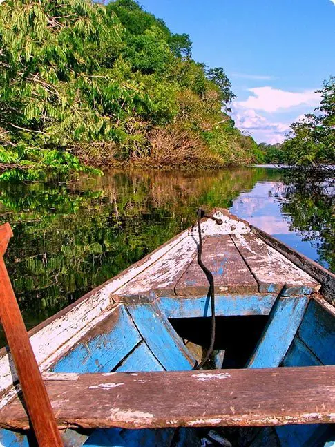 Canoe in Ecuador Rainforest