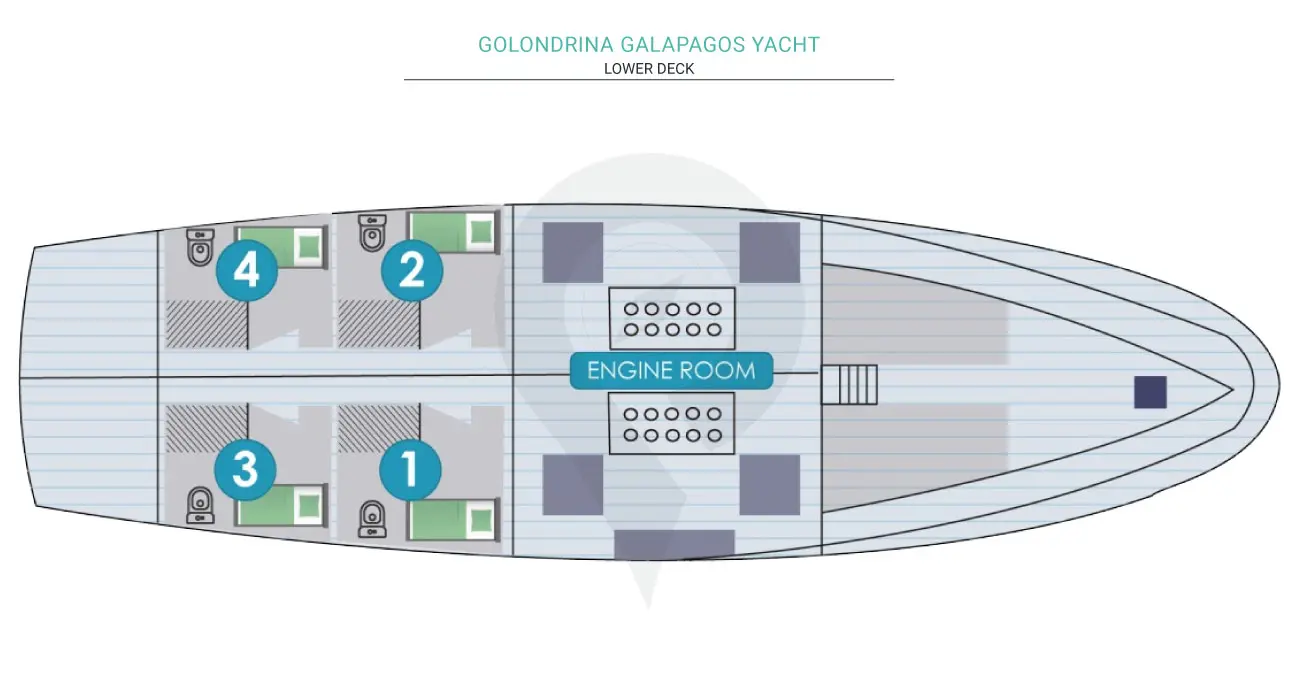 Golondrina Galapagos Yacht - Programs & Rates - GreenGo Travel