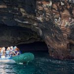 Golondrina Galapagos Yacht - Panga Ride
