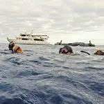 Eden Galapagos Yacht - Snorkel