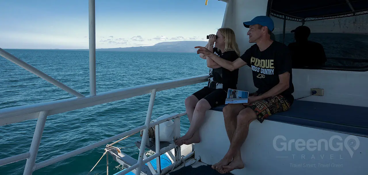 Fragata Galapagos Yacht - Bird Watching