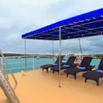 Cachalote Explorer Galapagos Yacht - Main Deck 2