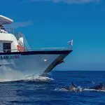 San Jose Galapagos Yacht - Dolphins Bow