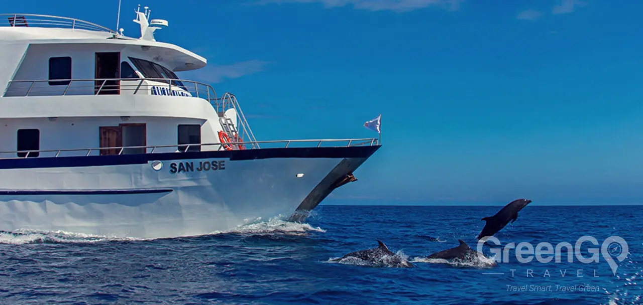 San Jose Galapagos Yacht - Dolphins Bow