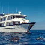 San Jose Galapagos Yacht - Panoramic View