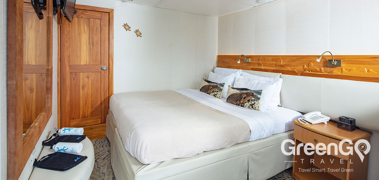 Coral I & II Galapagos Yachts - Junior Suite
