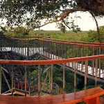 Sacha Lodge - Kapok Tower