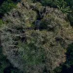 Sani Lodge - Ceiba Canopy Tower