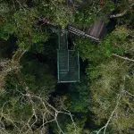 Sani Lodge - Ceiba Canopy Tower 2