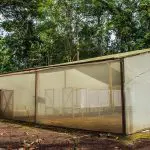 Sani Lodge - Greenhouse