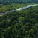 Sani Lodge - Huallacocha
