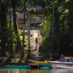 Amazon-Dolphin-Lodge