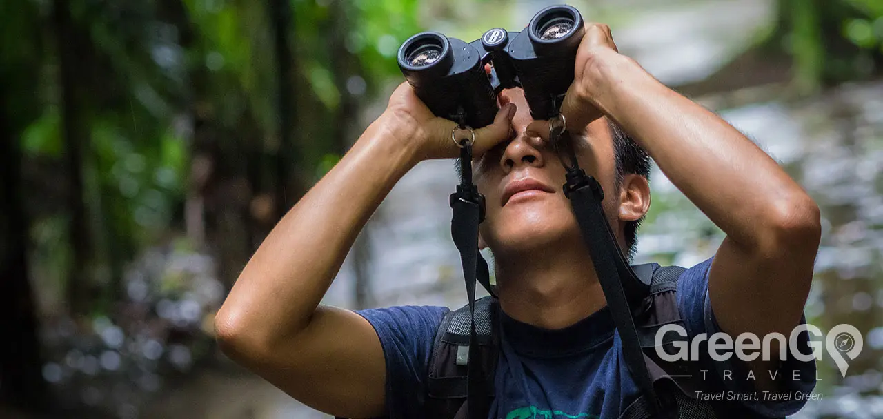 La Selva Eco Lodge - Birds Observation