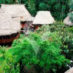 Piranha Amazon Lodge