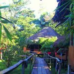 Amazon Resort Ecuador - Exterior Halls