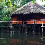 Amazon Resort Ecuador - Huts