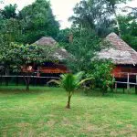 Amazon Resort Ecuador - Panoramic View