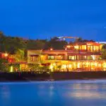 Red Mangrove - Night View