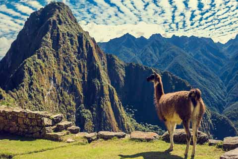 Peru_Short_Inca_Trail_Thumbnail
