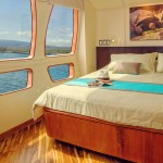 Majestic Galapagos Yacht Matrimonial Cabin