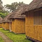 Amazon Dolphin Lodge