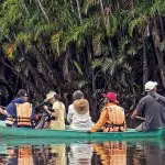 Amazon Dolphin Lodge Canoe Ride