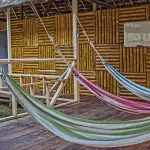 Amazon Dolphin Lodge Hammocks
