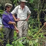 Amazon Dolphin Lodge Hiking