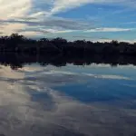 Amazon Dolphin Lodge Panacocha