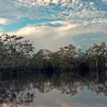 Amazon Dolphin Lodge Panacocha Lagoon