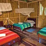 Amazon Dolphin Lodge Room
