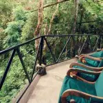 Bellavista Canopy View