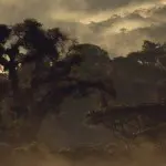Bellavista Cloudforest Panoramic View