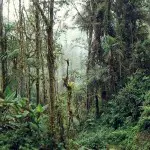 Bellavista Trails