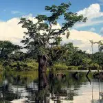 Guacamayo Lodge The Big Lagoon