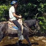 Hakuna Matata Lodge Horseback Riding