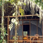 Huaorani Ecolodge Hut