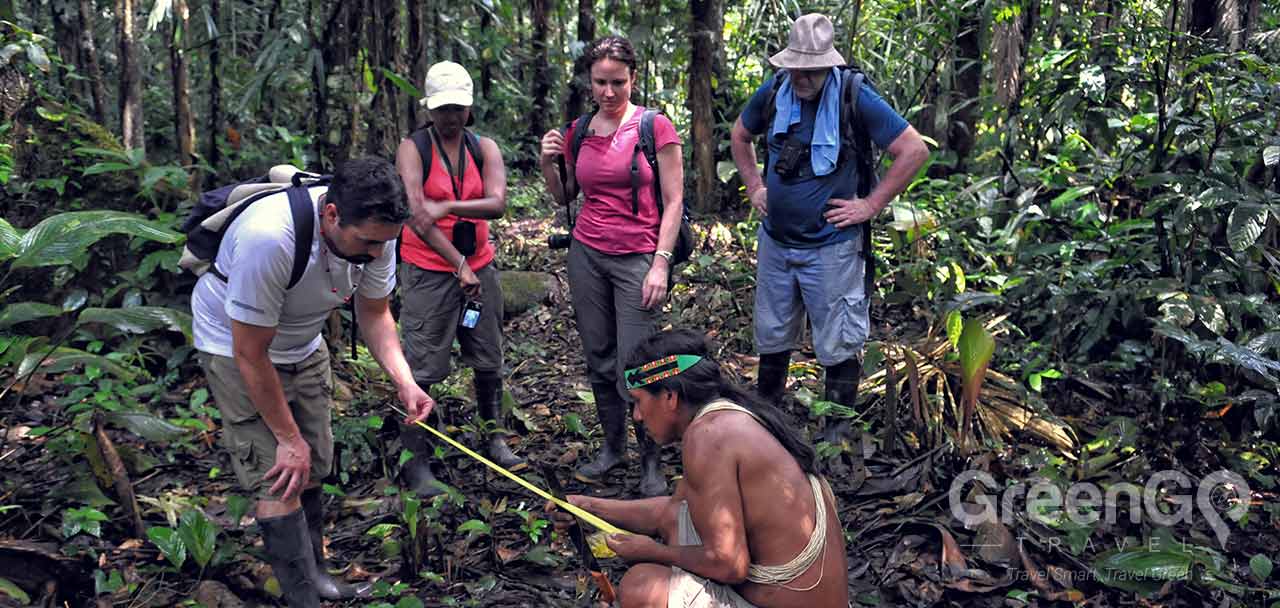 Huaorani Ecolodge Plants Discovery