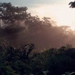 Huaorani Ecolodge Rain Forest