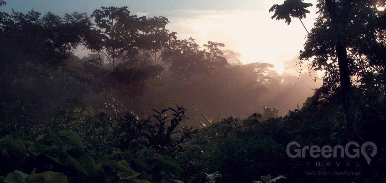 Huaorani Ecolodge Rain Forest