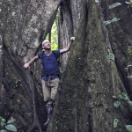 Huaorani Ecolodge Tree