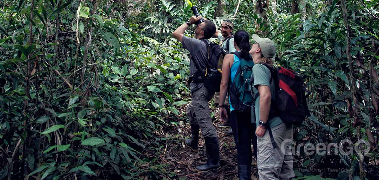 Huaorani Ecolodge Watching Wildlife
