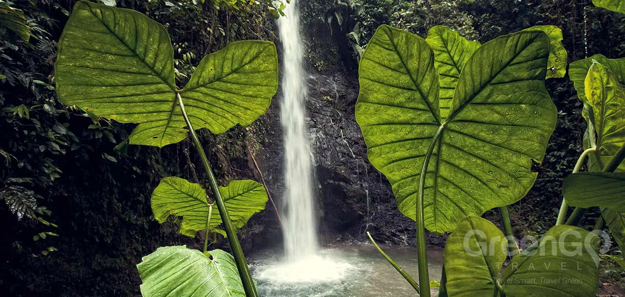 Mashpi Lodge Cascade