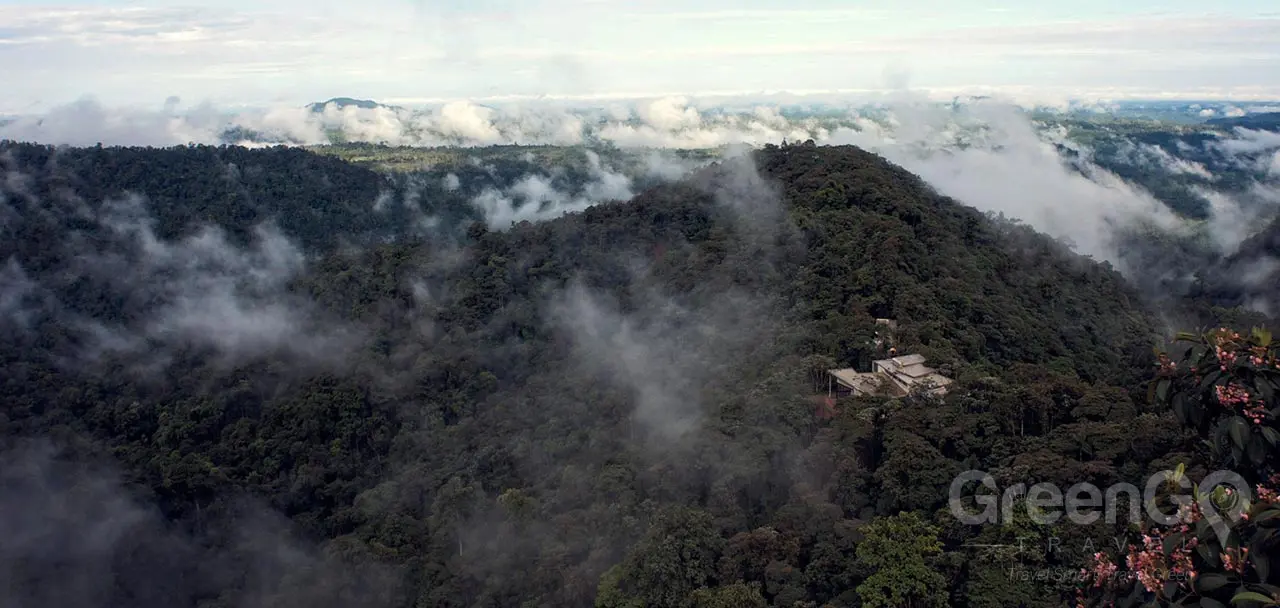 Mashpi Lodge: Ecuador Retreat - GreenGo Travel