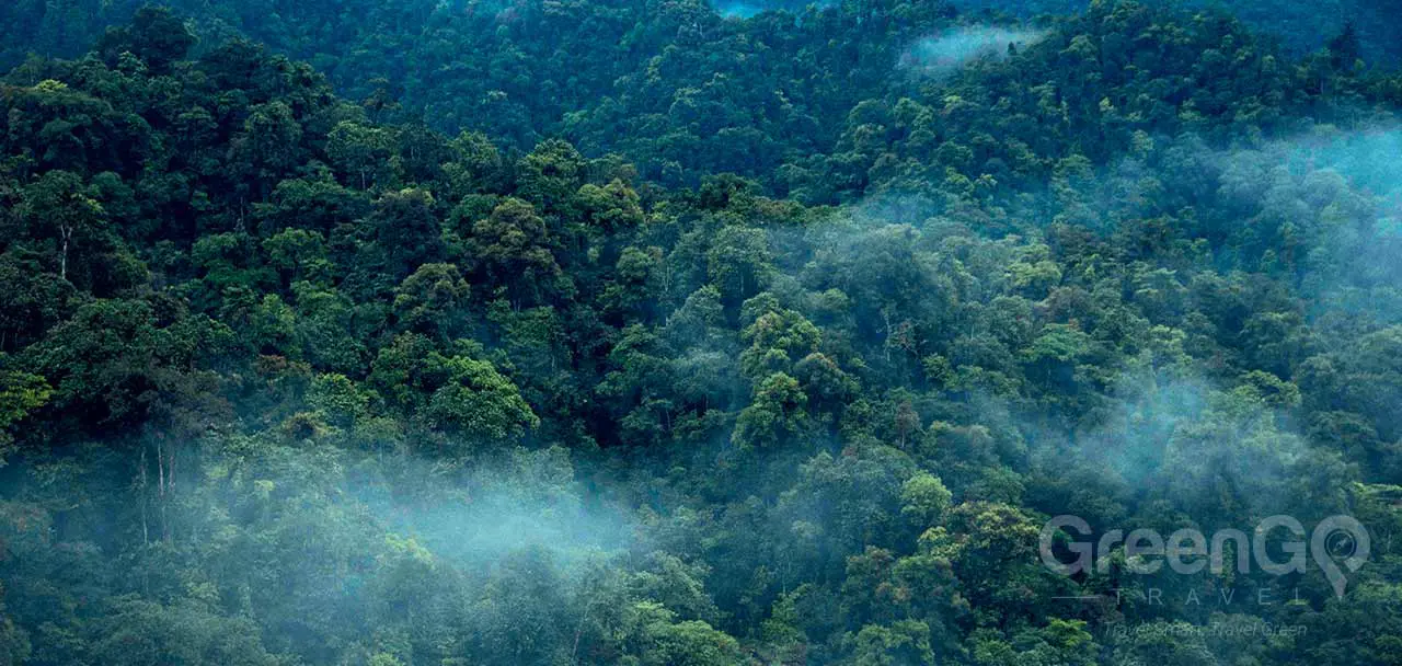 Mashpi Lodge Rainforest