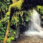 Mindo Lush Waterfall