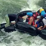 Mindo Rush Tubing