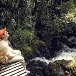 Papallacta Hot Springs Surroundings